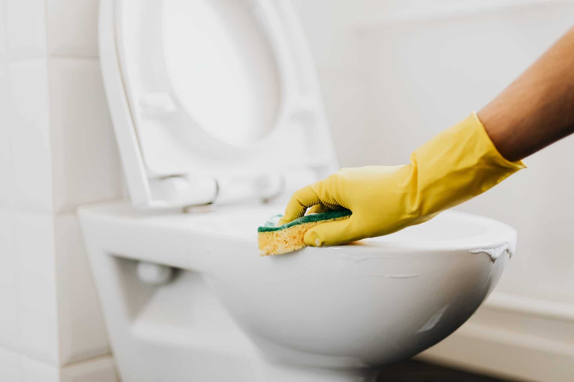 Sparzol Toilet Seat Clean